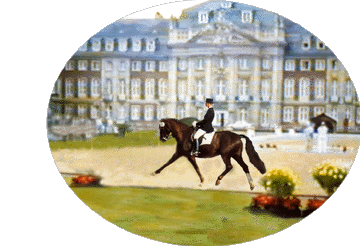 dressur turnier der sieger mnster vorm schlo