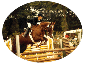 springen turnierreiten reitturnier