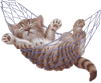 katze wohlfhlen