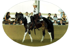 westernreiten pleasure